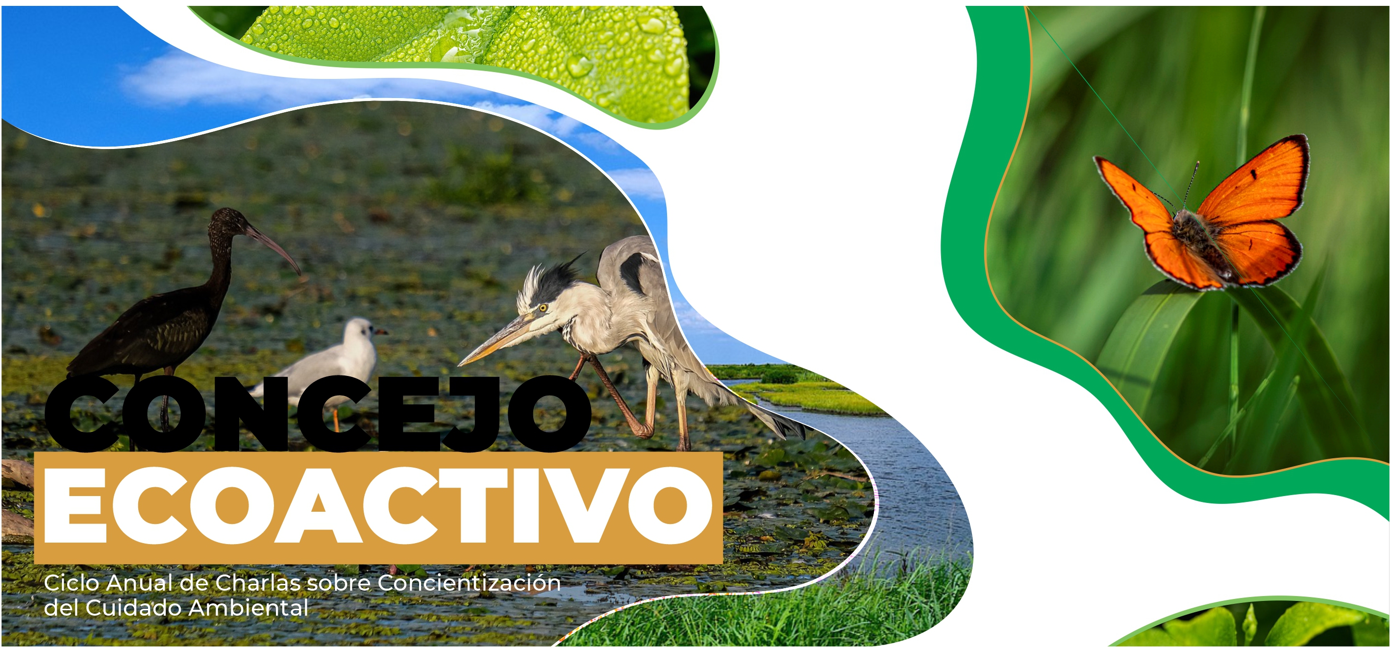 Banner Concejo EcoActivo