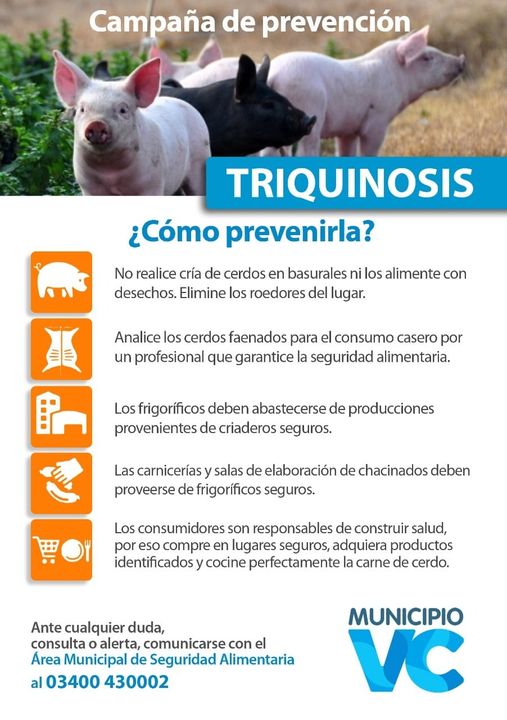 Campaña de prevención de triquinosis