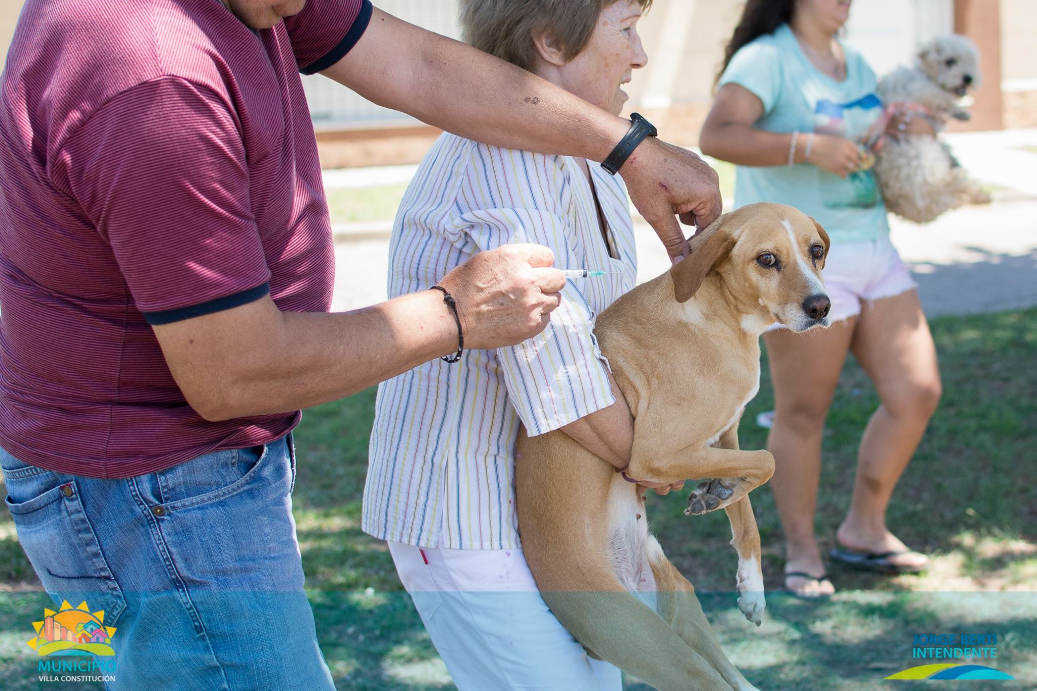 Cronograma de vacunación antirrábica