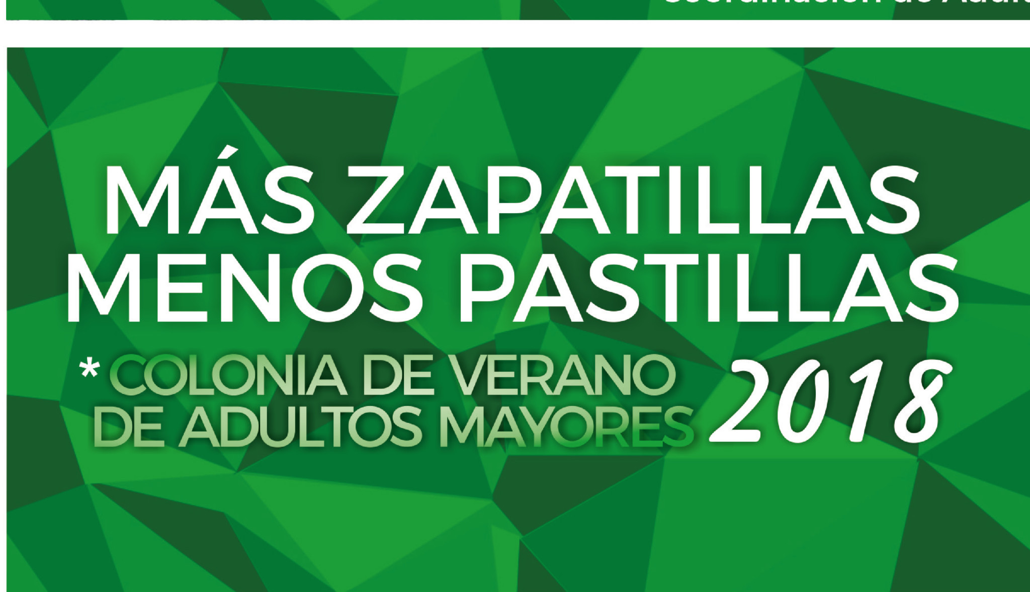 Colonia de Verano para Adultos Mayores