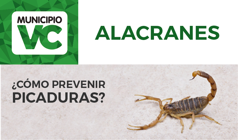 Recomendaciones ante a la presencia de alacranes