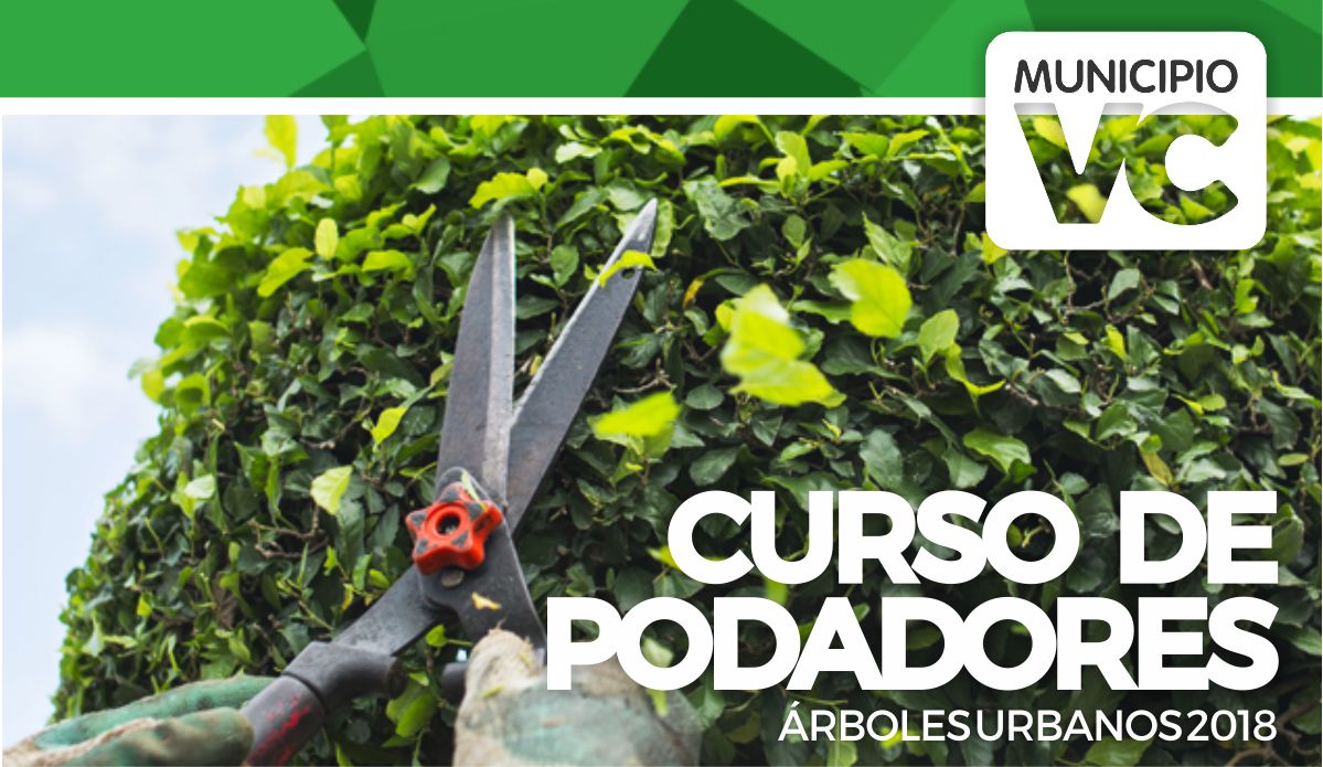 El Municipio dictará un curso de podadores de árboles urbanos