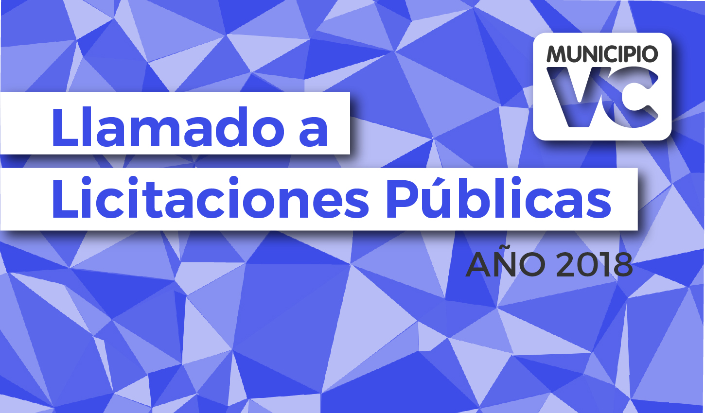 Licitación Pública Nº 13/18