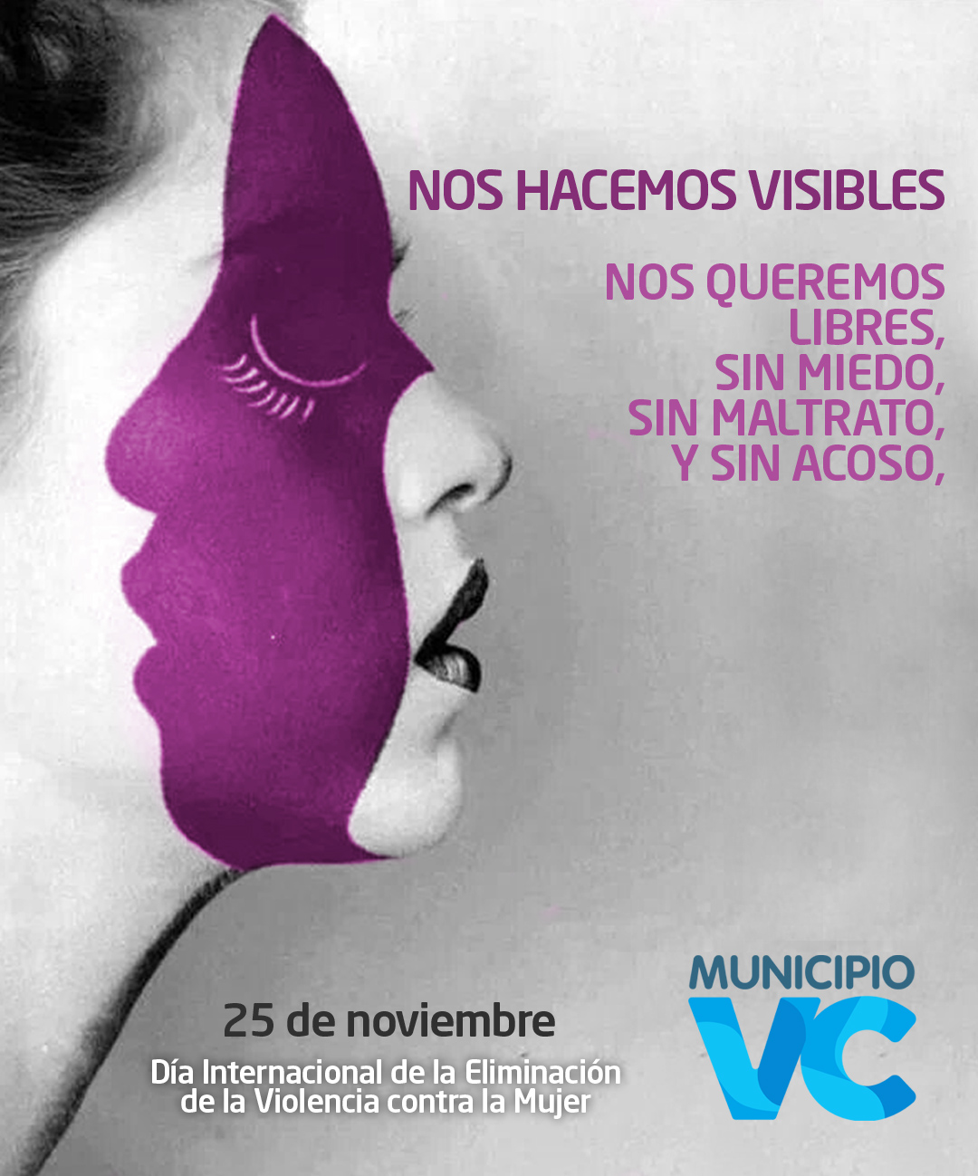 Reflexiones y actividades por el “Día Internacional de la Eliminación de la Violencia Contra la Mujer”