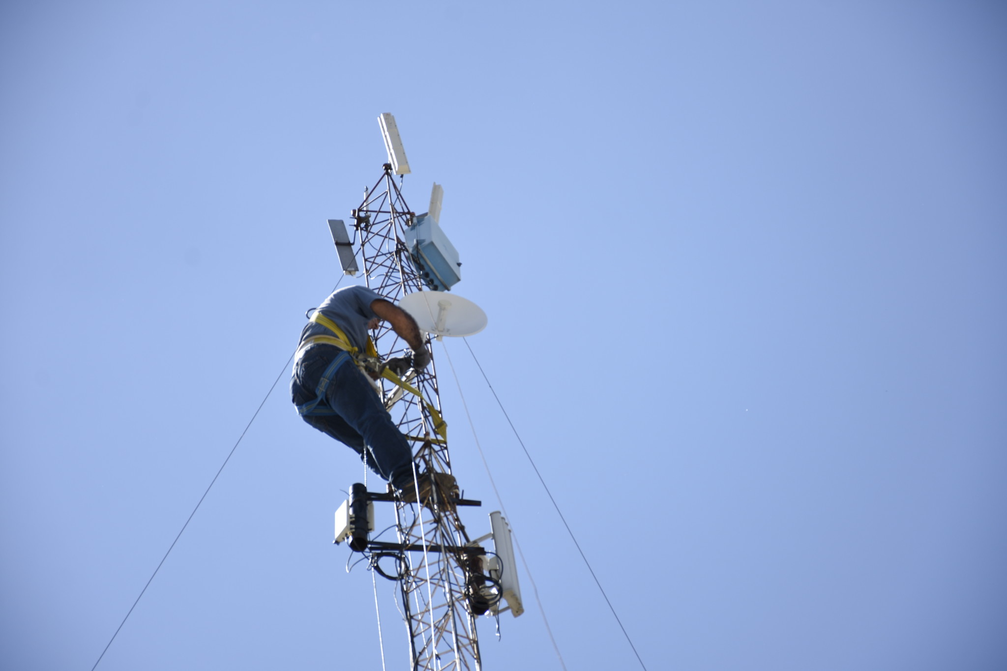 Normalización de las riendas y anclajes.