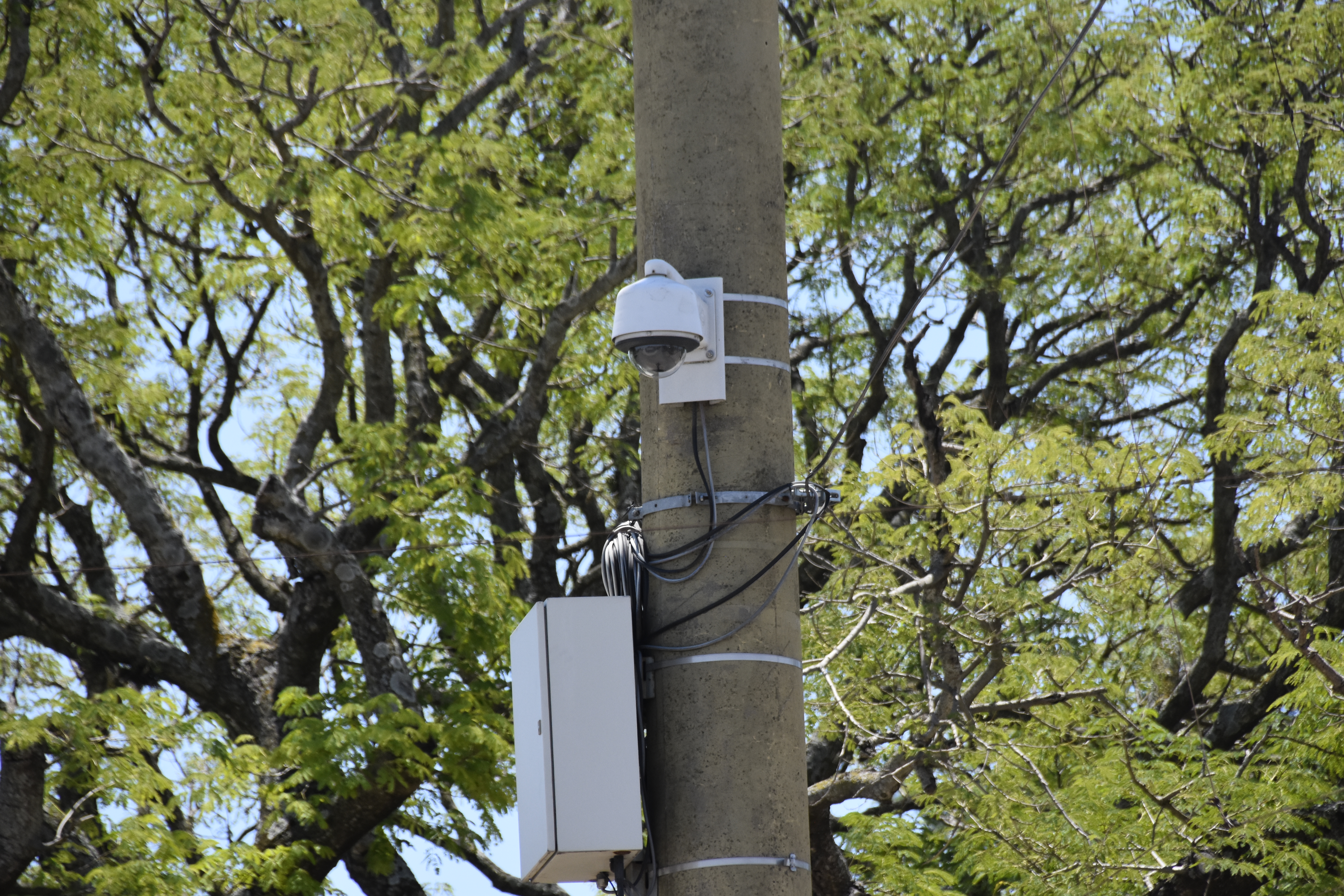 Se ordenarán carteles para mejorar el alcance de las cámaras de vigilancia.
