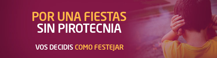 El Municipio, a través de Protección Civil comenzó a realizar controles por la venta de pirotecnia.
