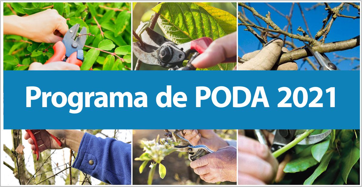 Programa de Poda 2021 y listado de podadores capacitados.