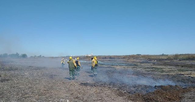 Informe: Operativo para combatir los focos de incendios
