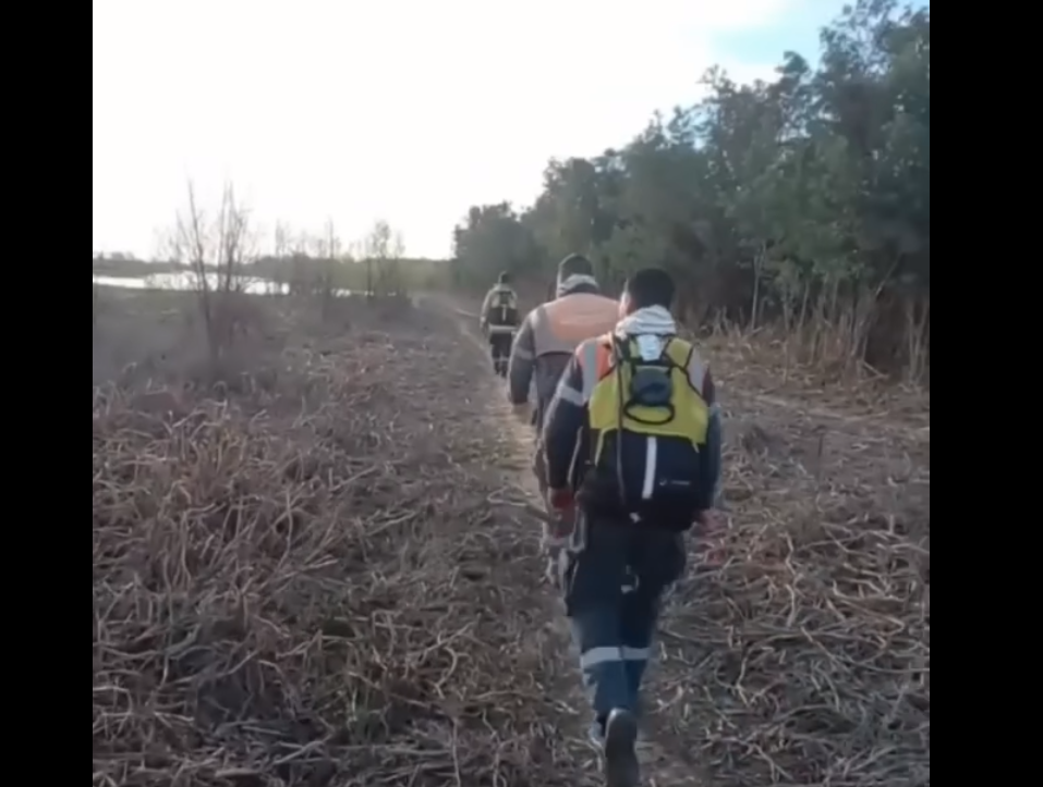 Operativo de extinción en la isla Pereyra
