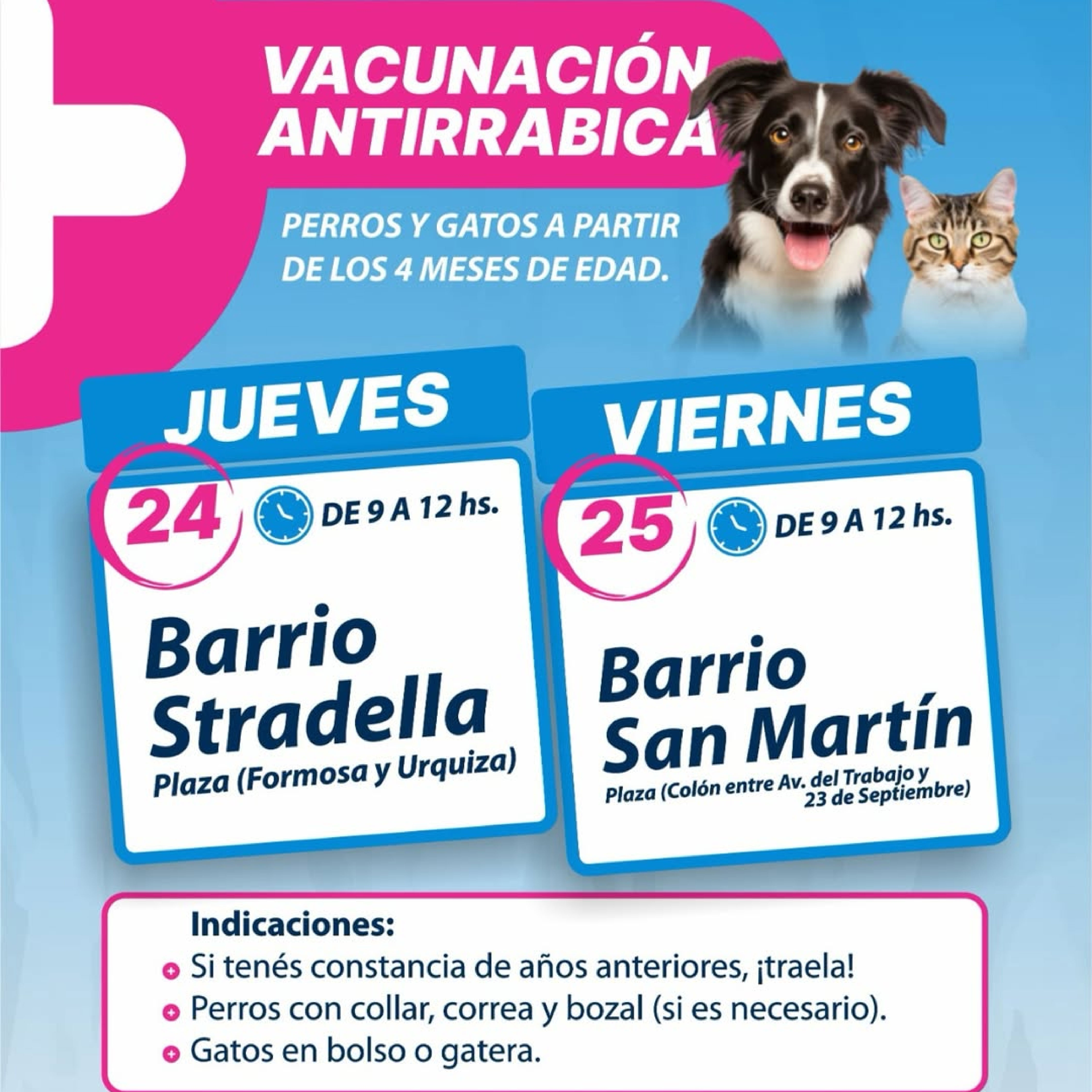 Jornada de vacunación antirrábica