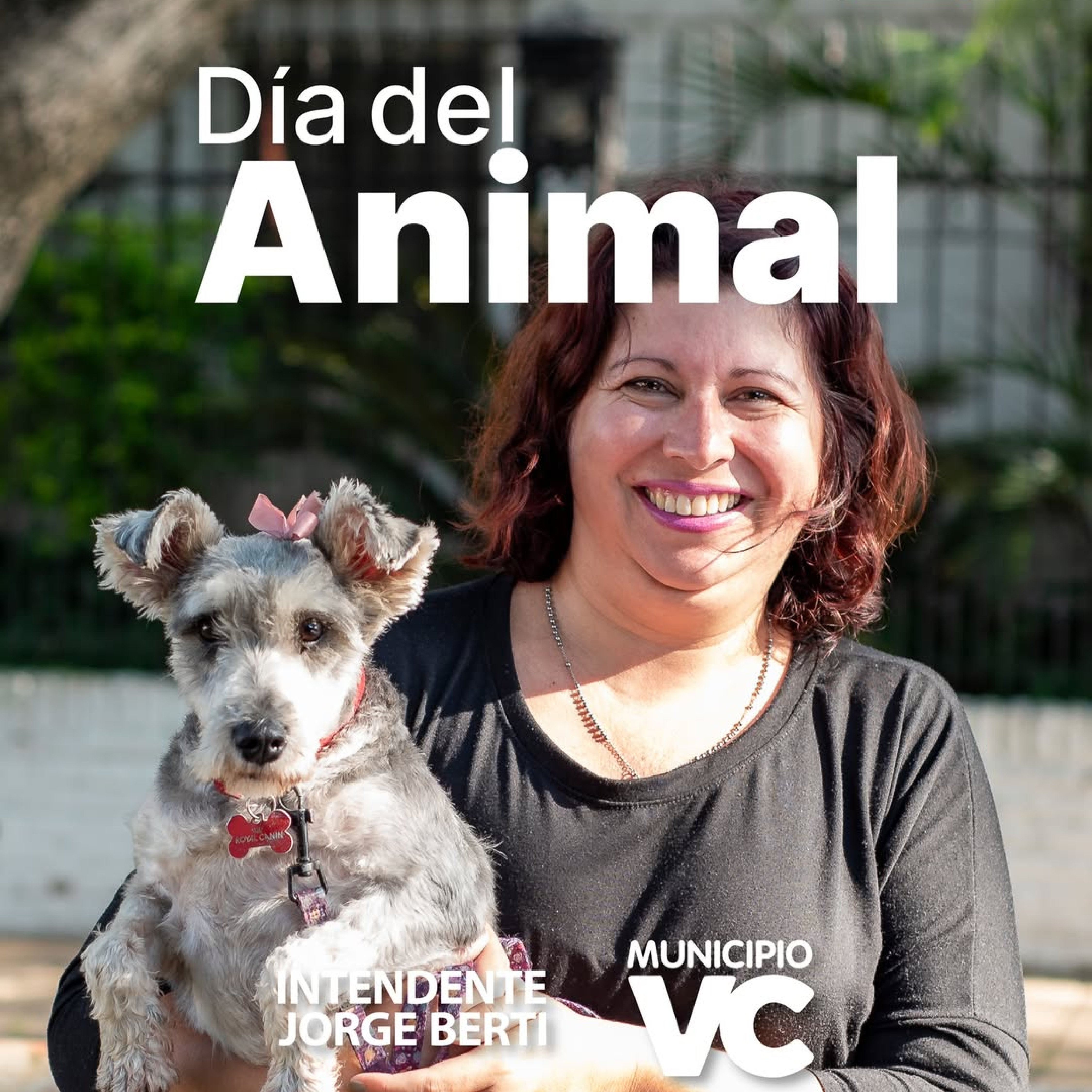 Día del Animal | Comprometidos con su cuidado y bienestar