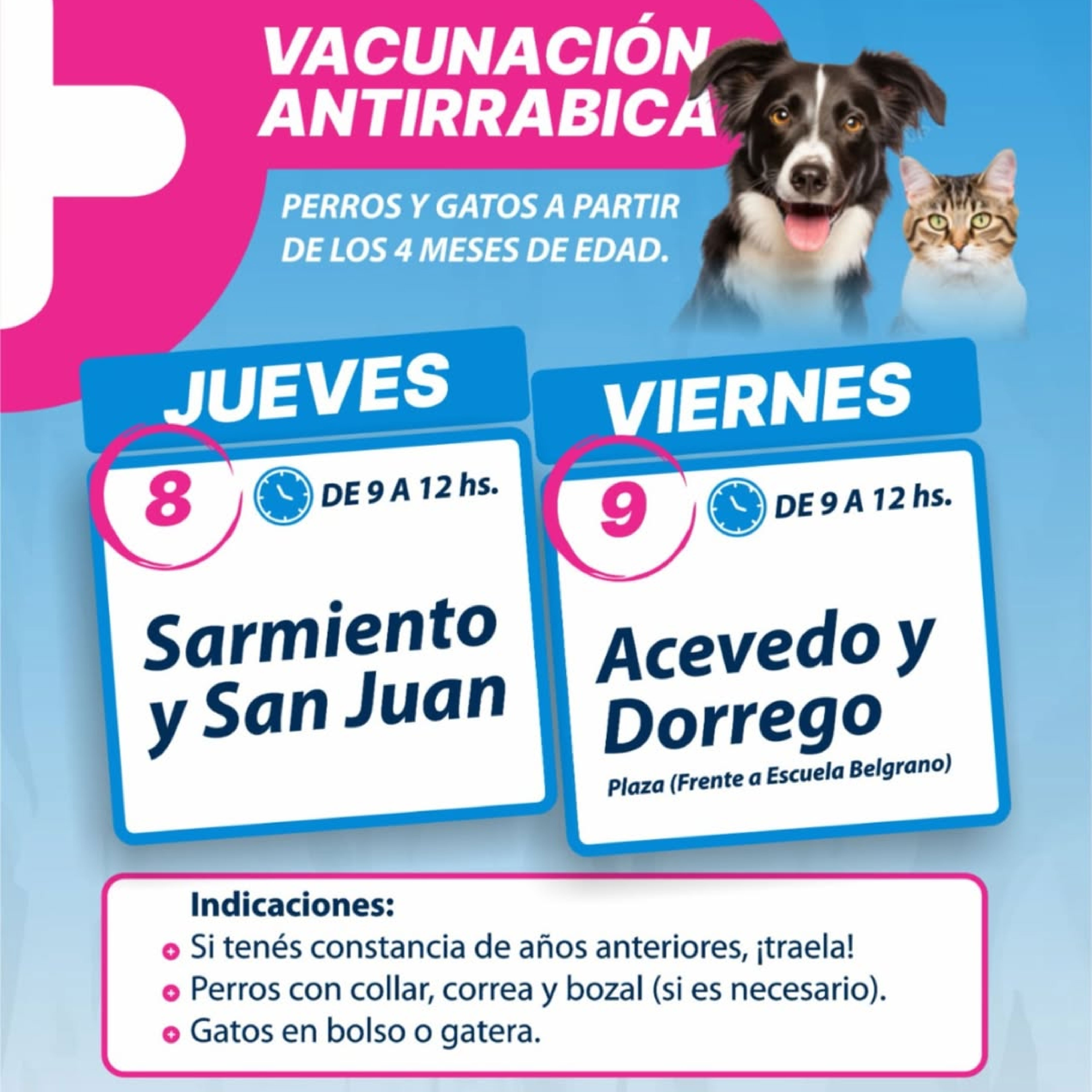 vacunación antirrábica gratuita