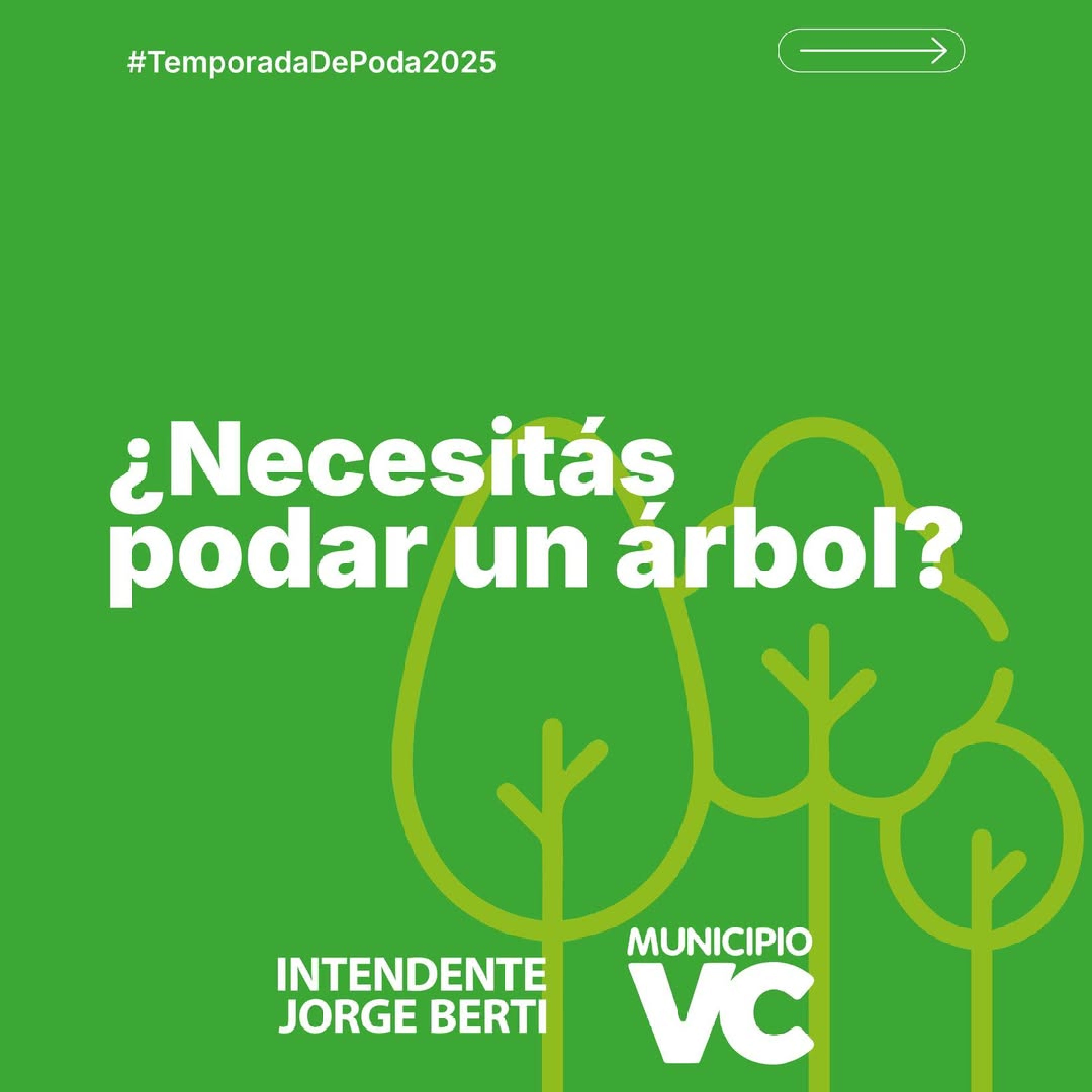 Poda de árboles: ¡Gestioná tu permiso!