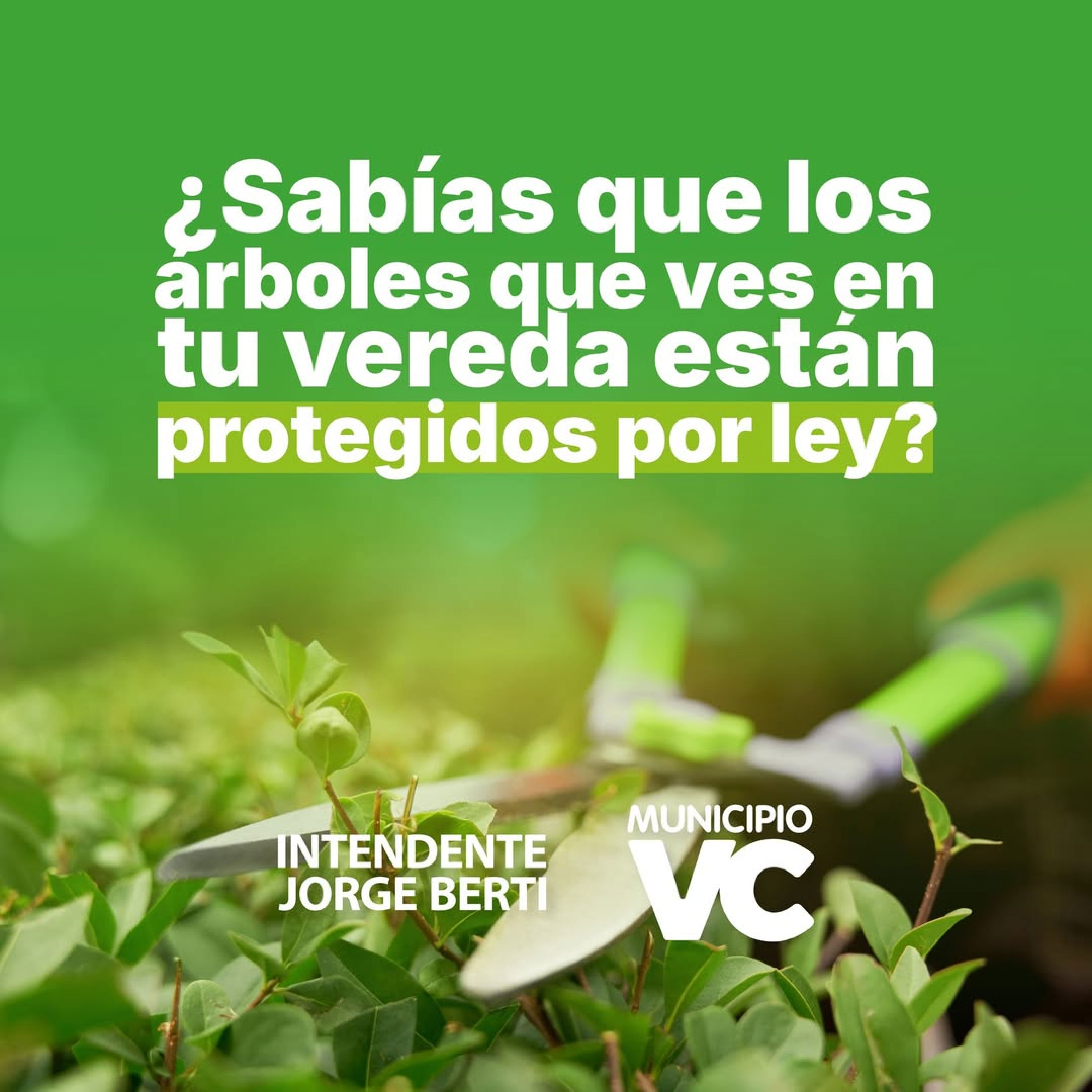 ¿Sabías que los arboles que ves en tu vereda están protegidos por ley?