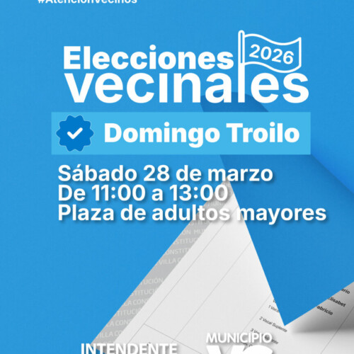 Elecciones Vecinales