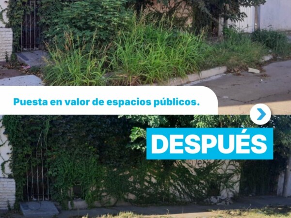 Estamos poniendo en condiciones distintos frentes de la ciudad.