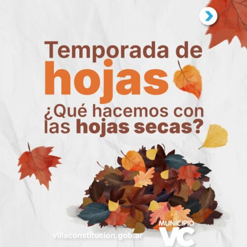  ¿Qué hacemos con las hojas secas?