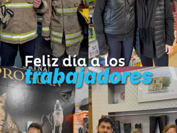 En Villa Constitución, el trabajo no es solo una tarea: es el motor que impulsa cada historia, cada esfuerzo y cada sueño