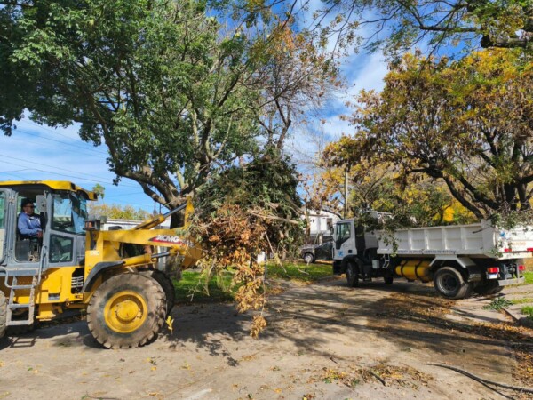 Villa Más Limpia” avanza en los barrios: intenso operativo de higiene urbana en Luzuriaga