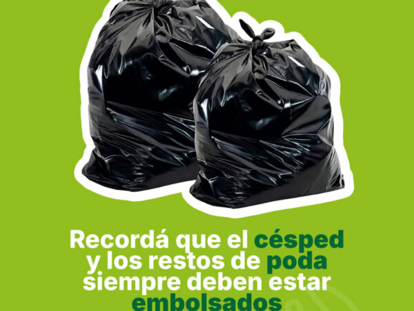 Entre todos mantenemos la ciudad más limpia.