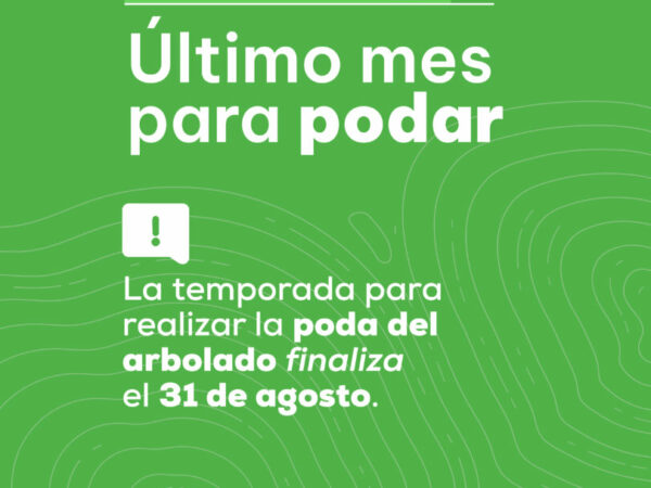 AGOSTO: Último mes para podar.